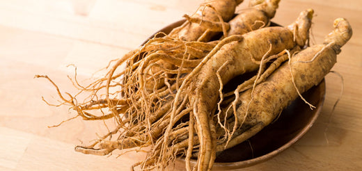 Le Ginseng Rouge Bio de Corée : Bienfaits Aphrodisiaque