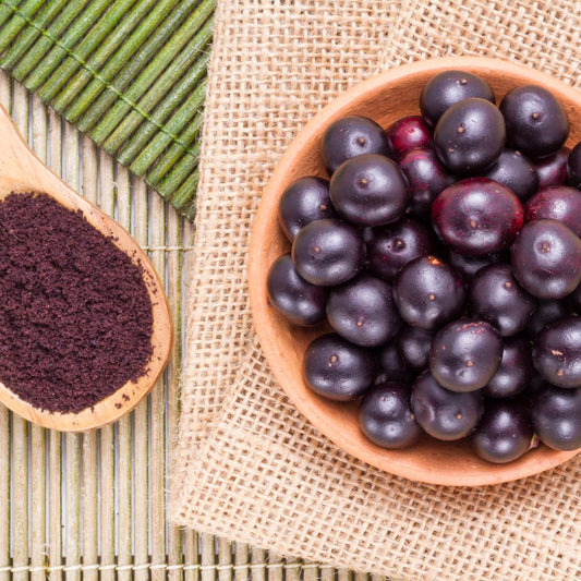 La poudre de baie d’açai et ses bienfaits nutritionnels Rue Des Plantes