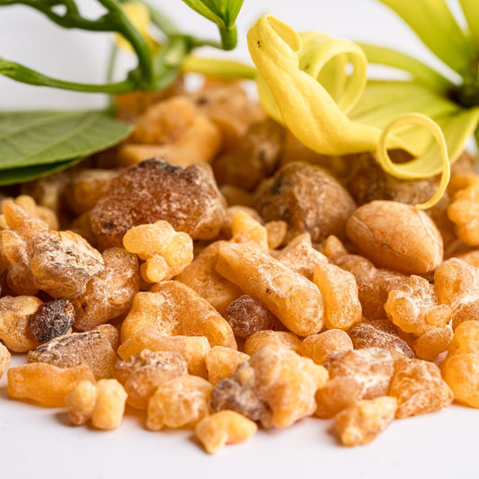 Quelles sont les vertus du Boswellia ?