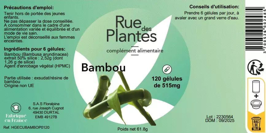 Achat Bambou extrait - Rue Des Plantes