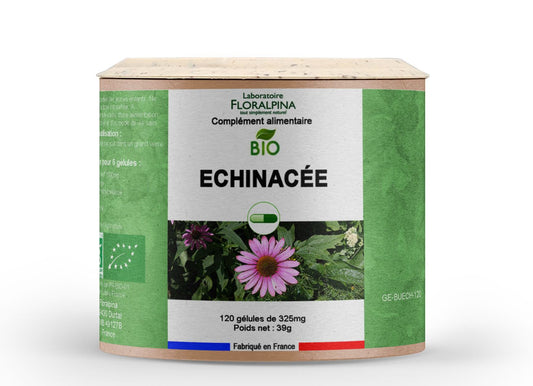 Achat Echinacée BIO - Rue Des Plantes