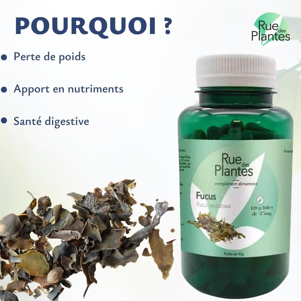 Achat Fucus - Rue Des Plantes