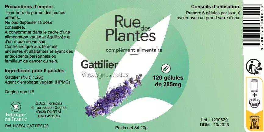 Achat Gattilier - Rue Des Plantes