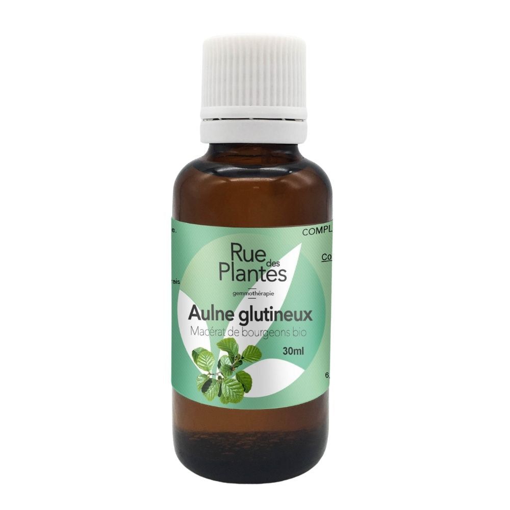 Achat Gemmothérapie Aulne glutineux - Rue Des Plantes