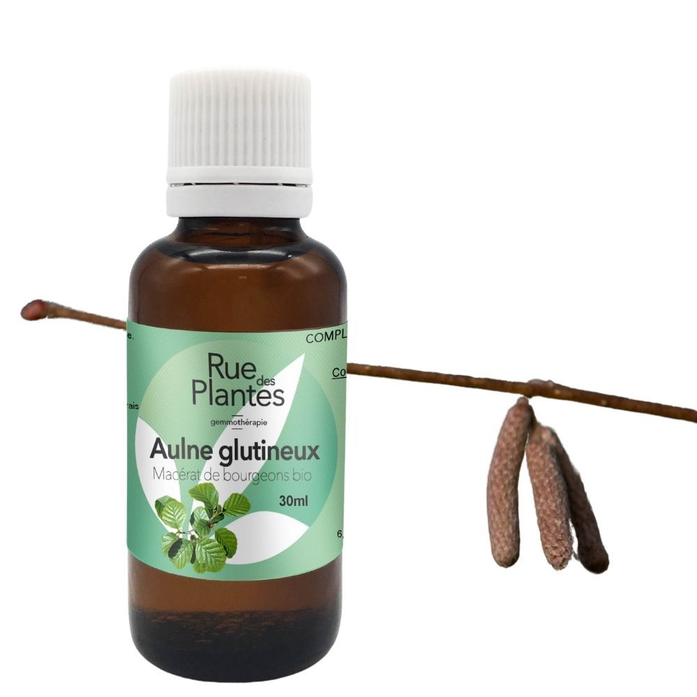 Achat Gemmothérapie Aulne glutineux - Rue Des Plantes