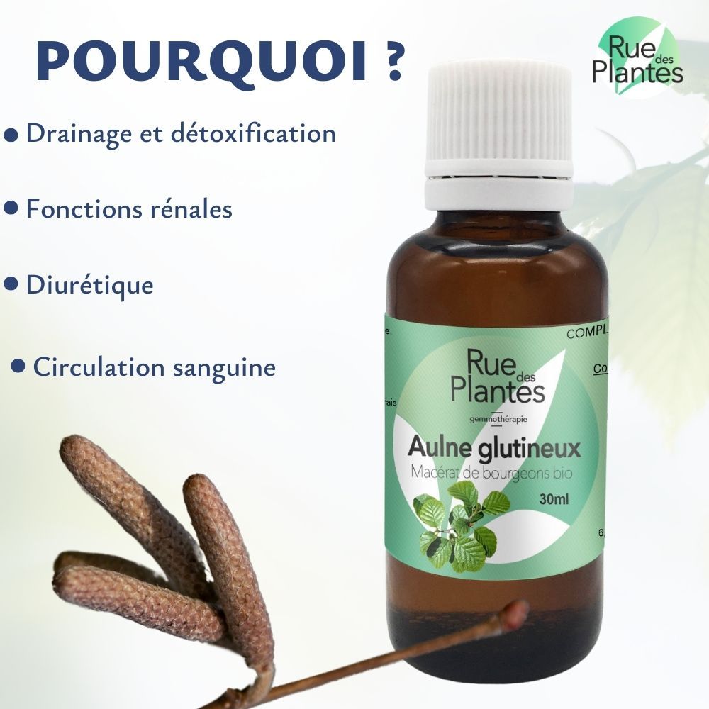 Achat Gemmothérapie Aulne glutineux - Rue Des Plantes