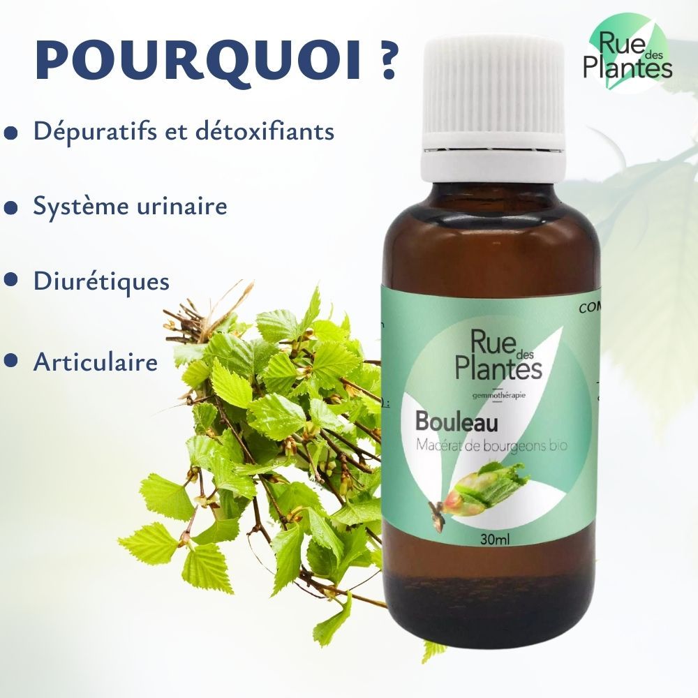 Achat Gemmothérapie Bouleau - Rue Des Plantes