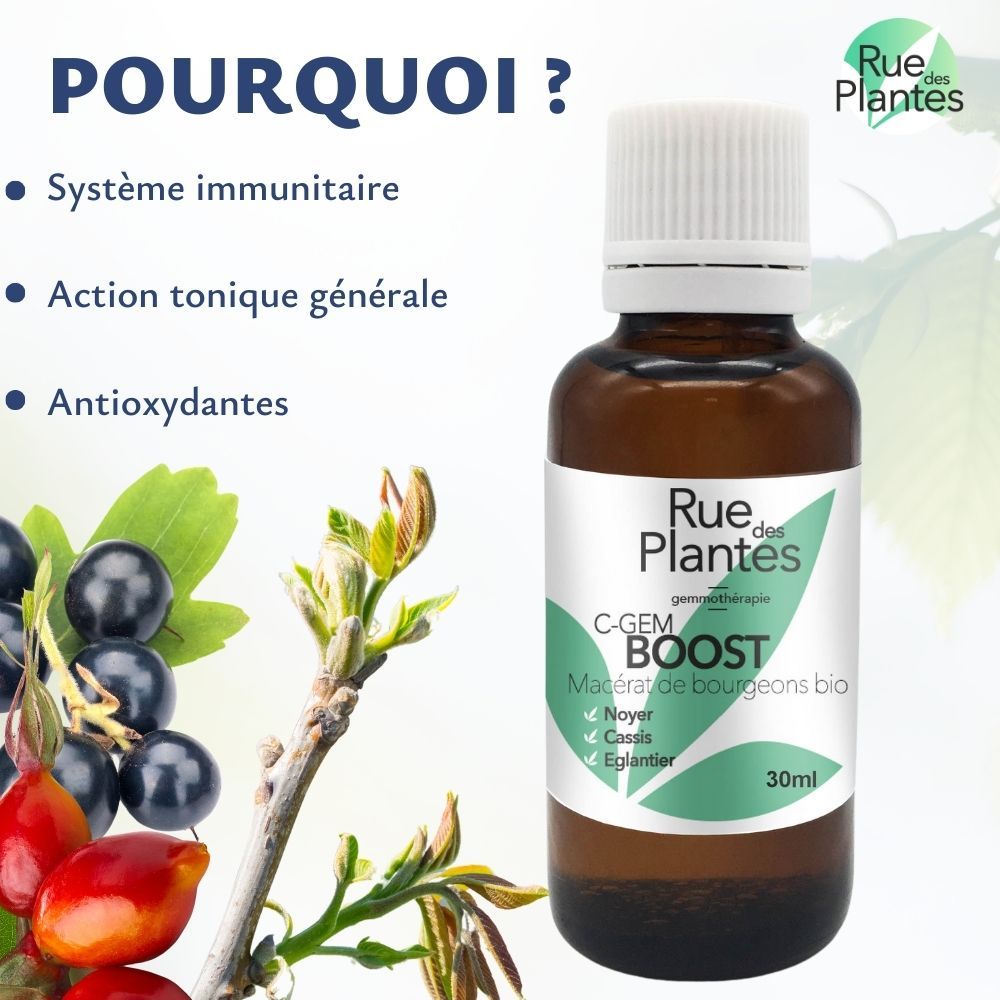 Achat Gemmothérapie C-gem Boost - Rue Des Plantes