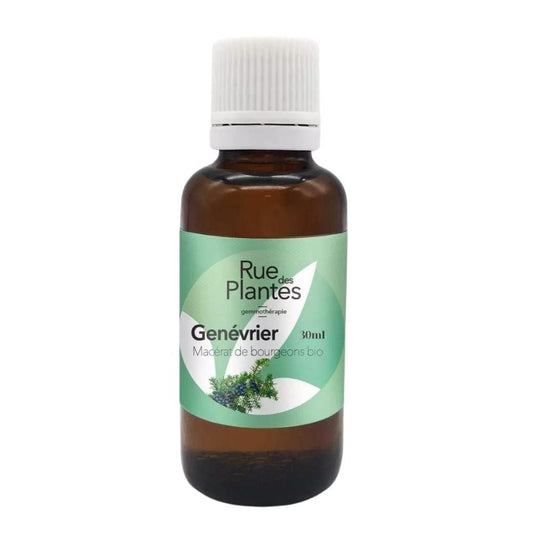 Achat Gemmothérapie Genévrier - Rue Des Plantes