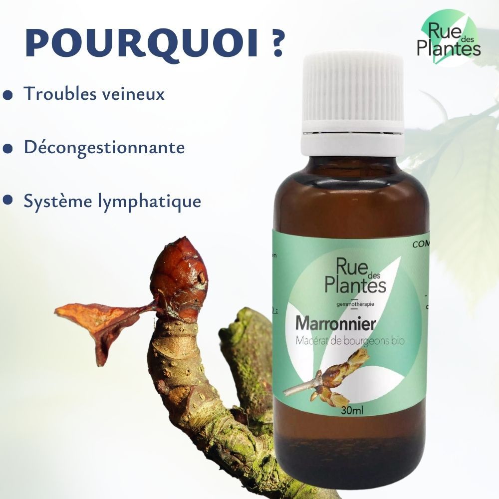 Achat Gemmothérapie Marronnier - Rue Des Plantes