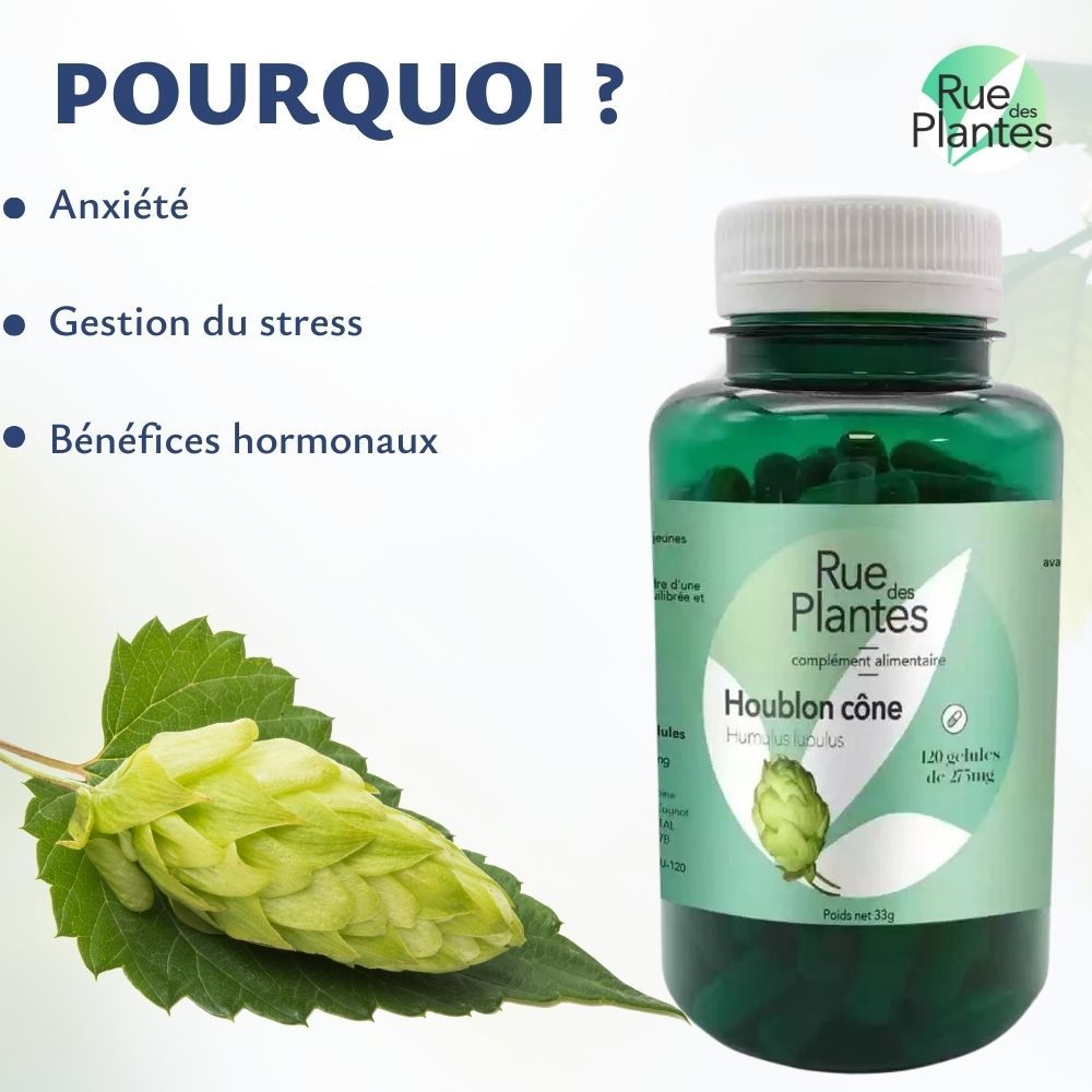 Houblon - Rue Des Plantes