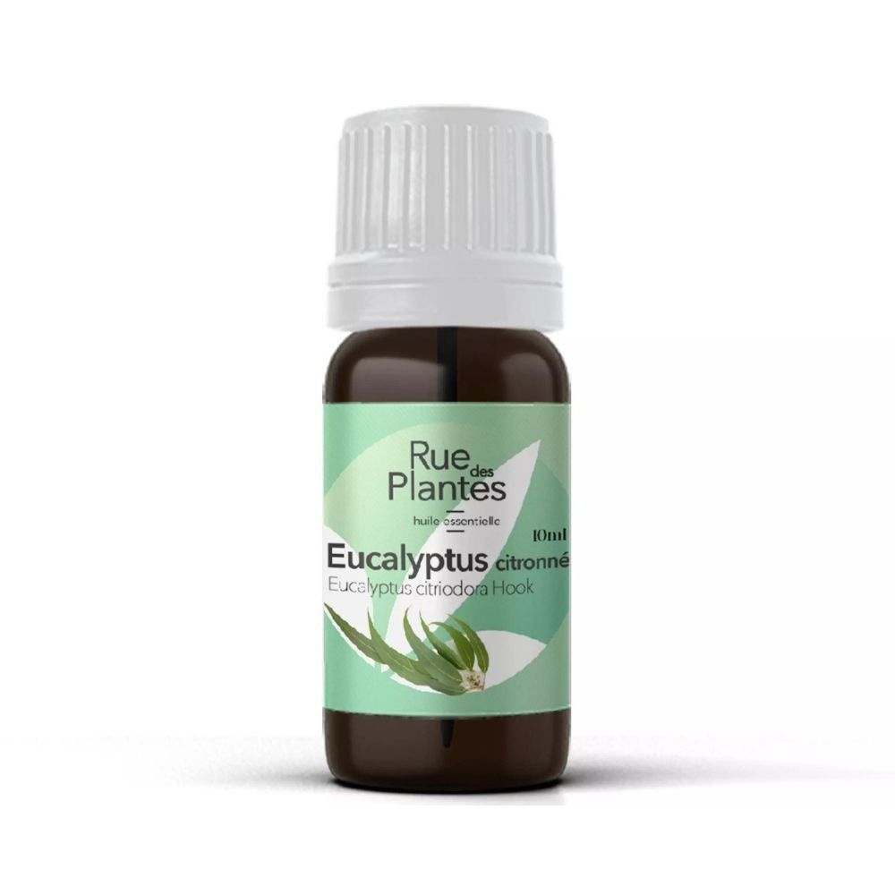 Achat Huile essentielle Eucalyptus citronné bio - Rue Des Plantes
