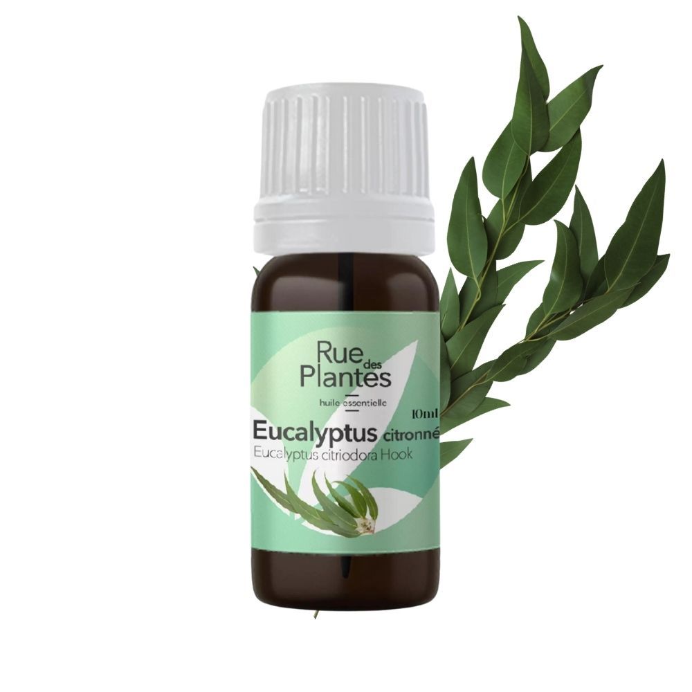 Achat Huile essentielle Eucalyptus citronné bio - Rue Des Plantes