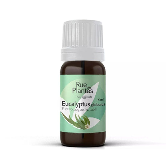 Achat Huile essentielle Eucalyptus globulus bio - Rue Des Plantes