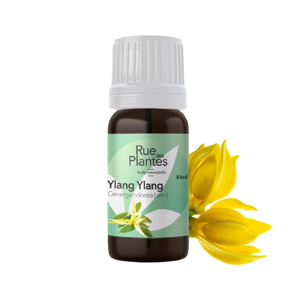 Achat Huile essentielle Ylang ylang bio - Rue Des Plantes