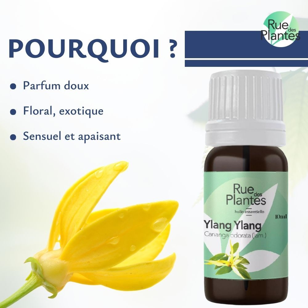 Achat Huile essentielle Ylang ylang bio - Rue Des Plantes