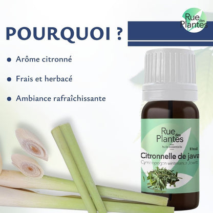 Huile essentielle de citronnelle de java bio - Rue Des Plantes