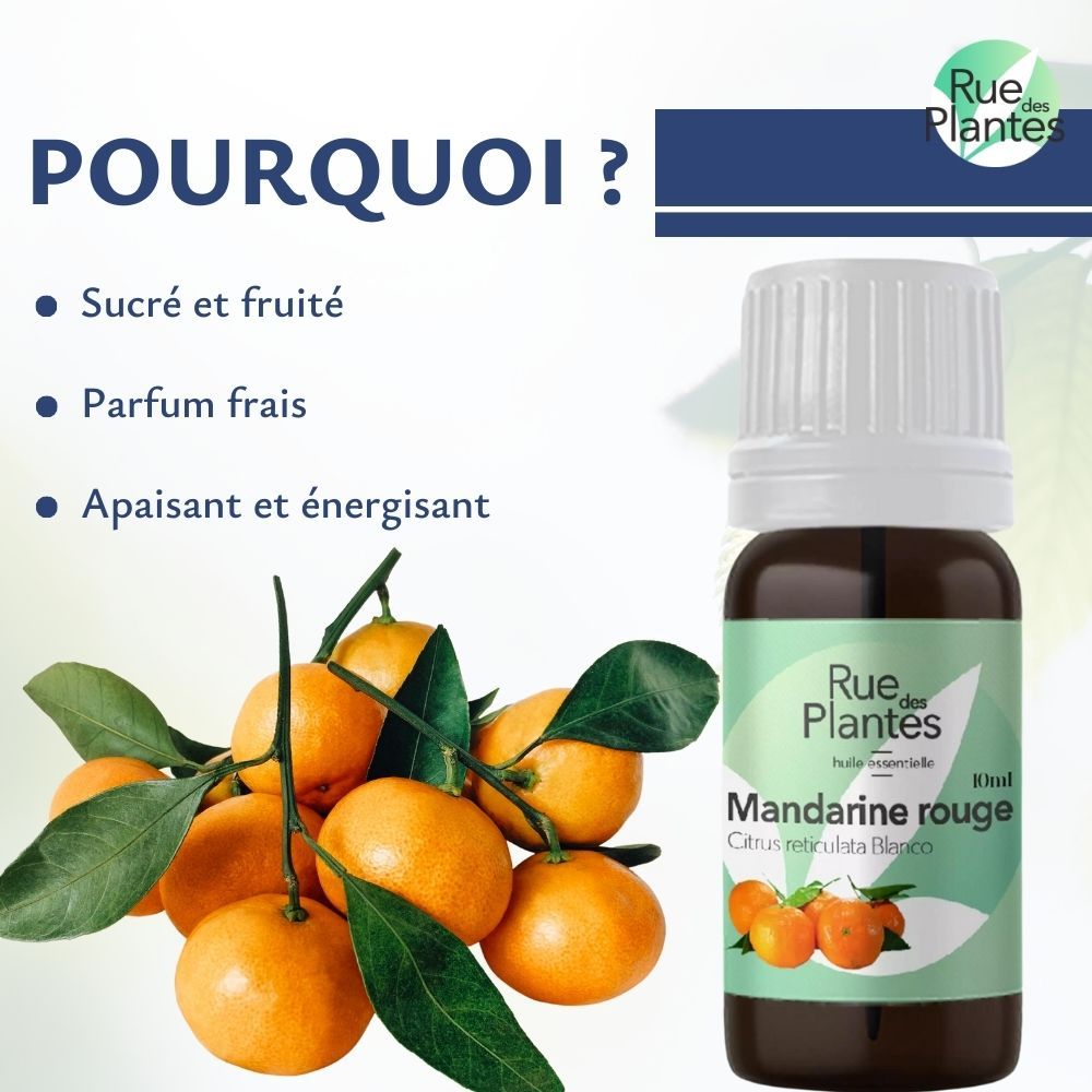 Achat Huile essentielle de mandarine rouge bio - Rue Des Plantes