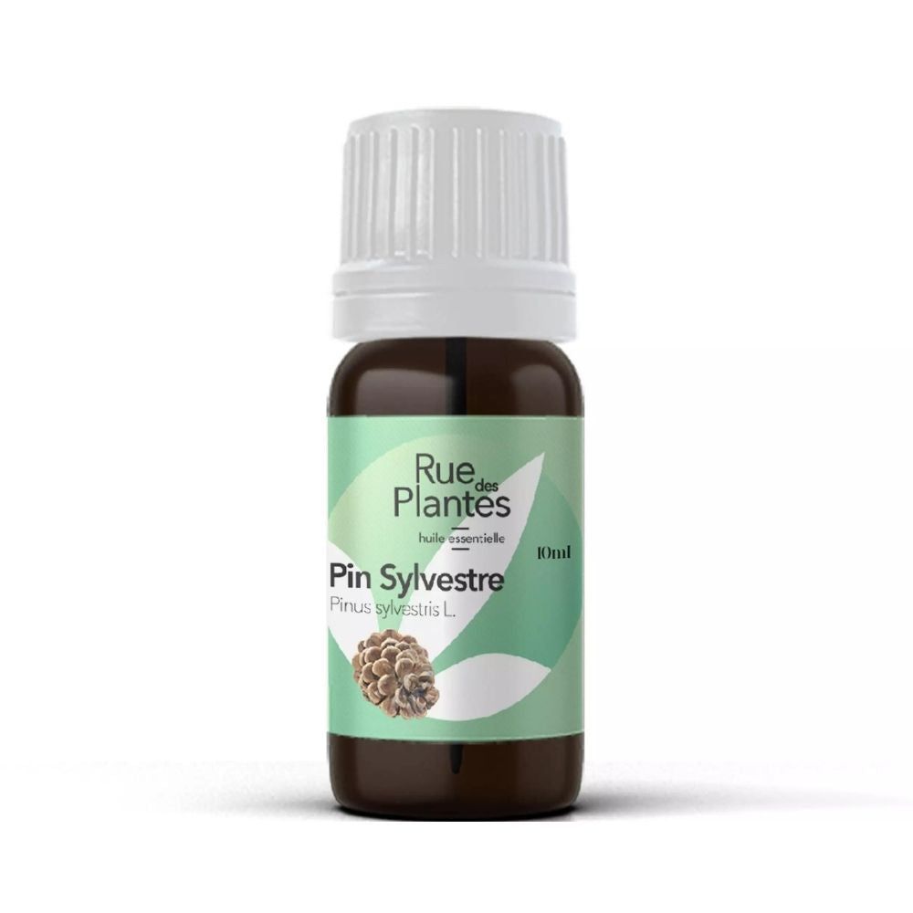 Achat Huile essentielle de pin sylvestre bio - Rue Des Plantes