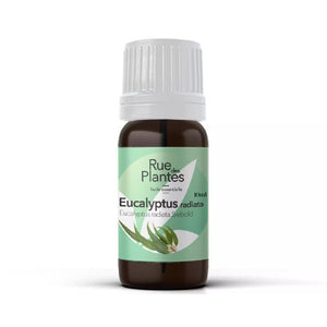 Huile essentielle Eucalyptus radiata bio