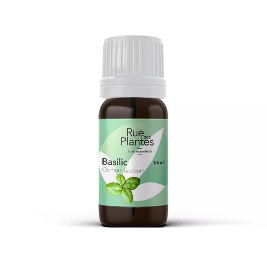 Achat Huile essentielle de basilic bio - Rue Des Plantes