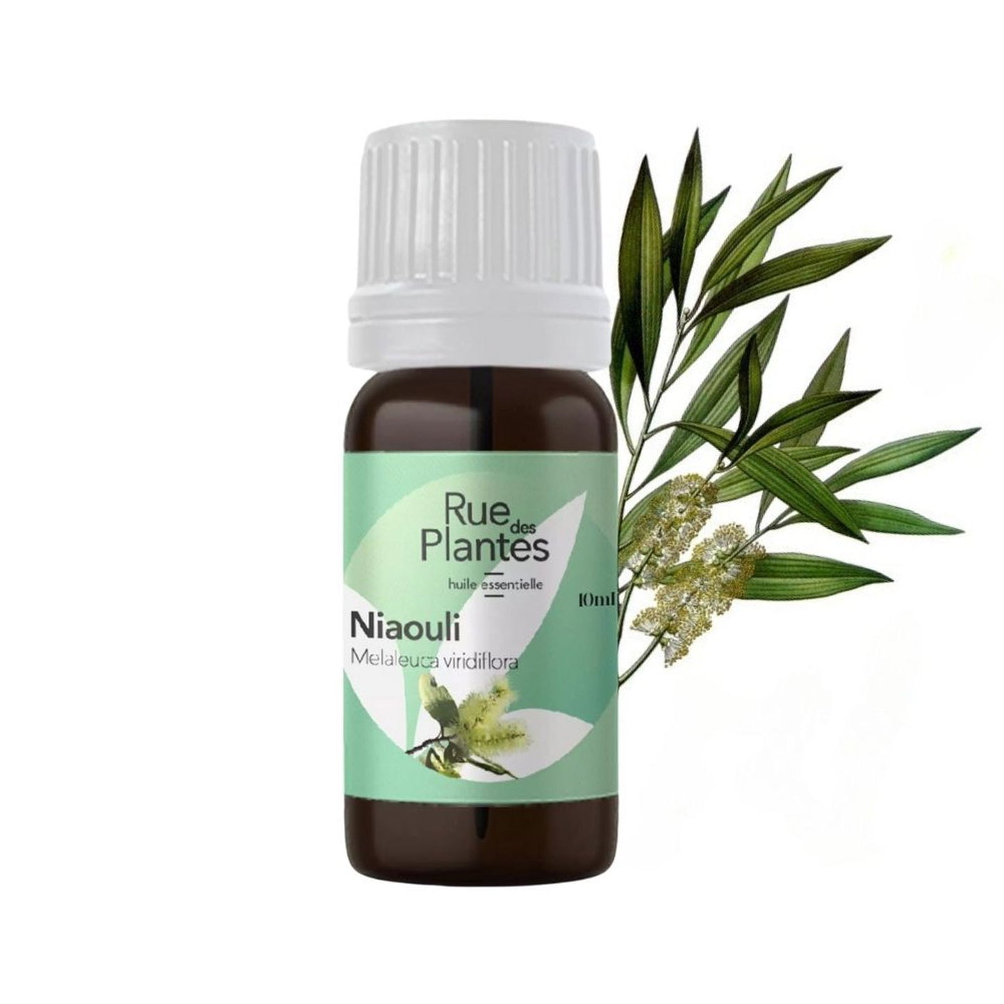 Achat Huile essentielle de niaouli bio - Rue Des Plantes