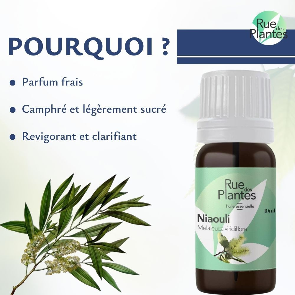 Achat Huile essentielle de niaouli bio - Rue Des Plantes