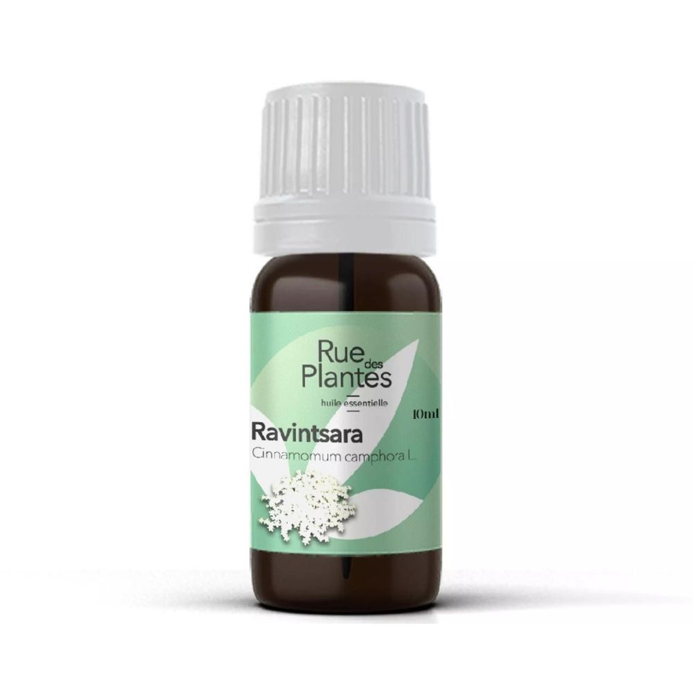 Huile essentielle ravintsara bio - Rue Des Plantes