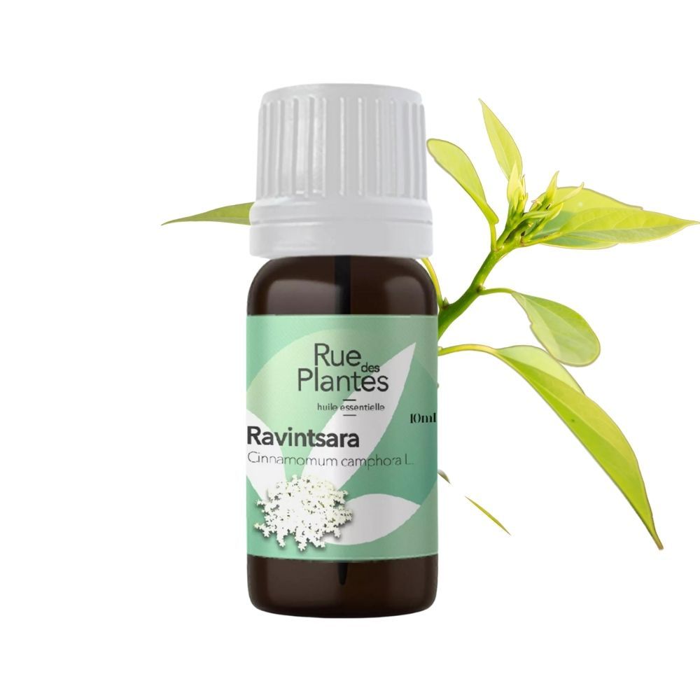 Achat Huile essentielle ravintsara bio - Rue Des Plantes