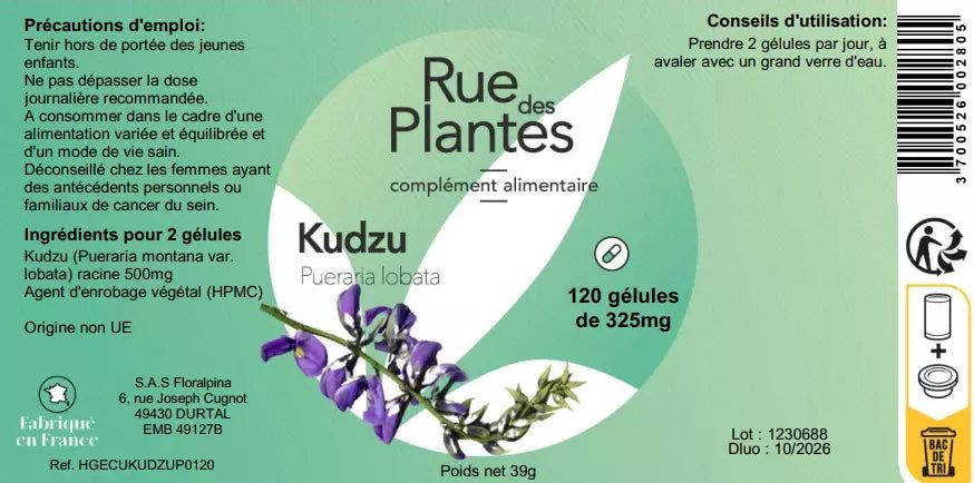 Achat Kudzu - Rue Des Plantes