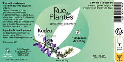 Kudzu - Rue Des Plantes