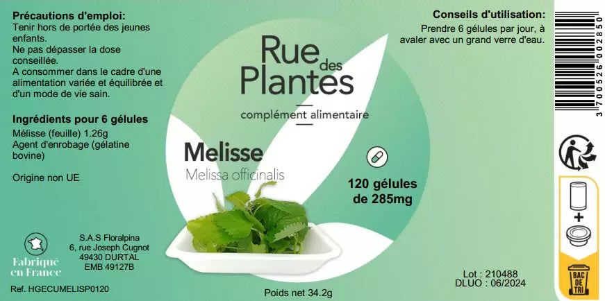 Mélisse - Rue Des Plantes