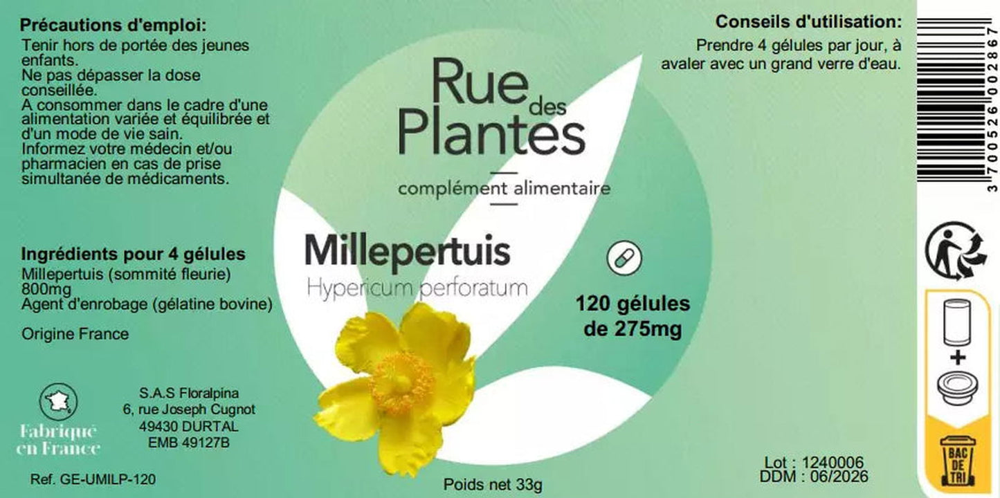 Achat Millepertuis - Rue Des Plantes