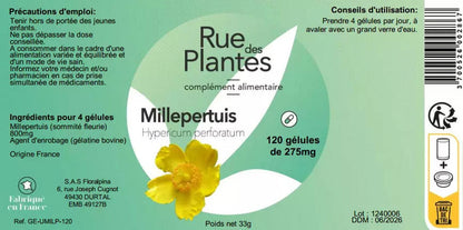 Millepertuis - Rue Des Plantes