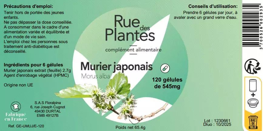 Achat Murier Japonais - Rue Des Plantes