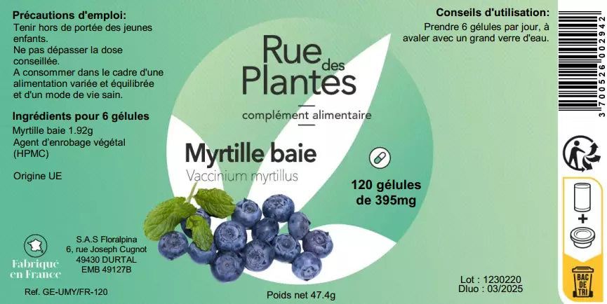 Achat Myrtille baie - Rue Des Plantes