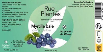 Myrtille baie - Rue Des Plantes