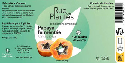 Papaye fermentée extrait - Rue Des Plantes