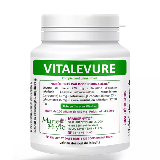 Achat VitaLevure